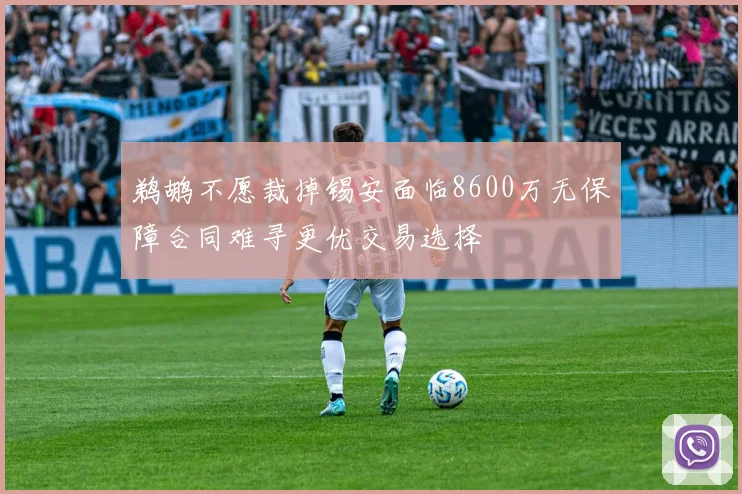 鹈鹕不愿裁掉锡安面临8600万无保障合同难寻更优交易选择