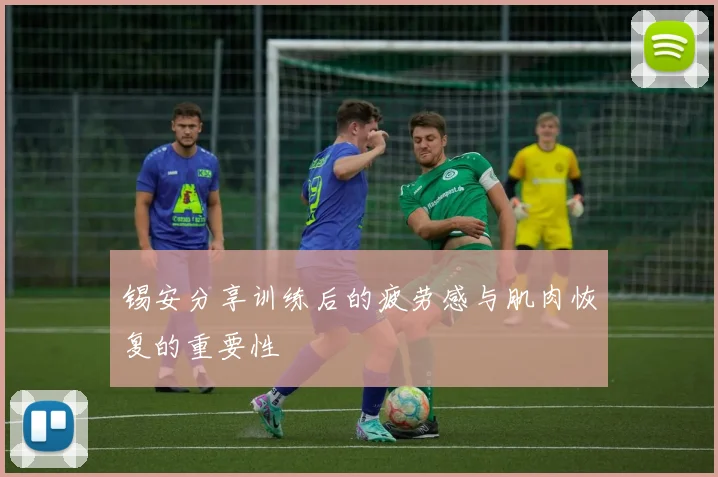 锡安分享训练后的疲劳感与肌肉恢复的重要性