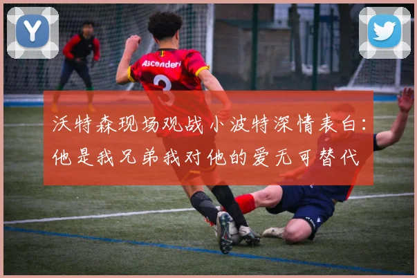 沃特森现场观战小波特深情表白：他是我兄弟我对他的爱无可替代
