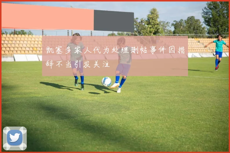 凯塞多家人代为处理删帖事件因措辞不当引发关注
