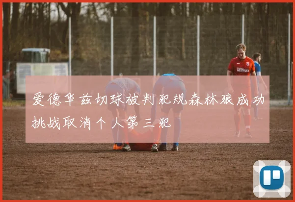 爱德华兹切球被判犯规森林狼成功挑战取消个人第三犯