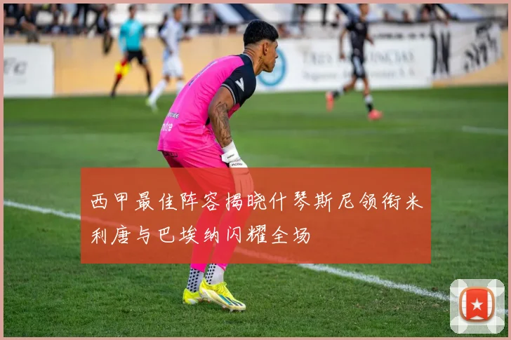 西甲最佳阵容揭晓什琴斯尼领衔米利唐与巴埃纳闪耀全场