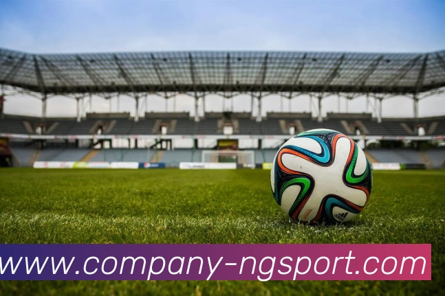 南宫体育平台生态图