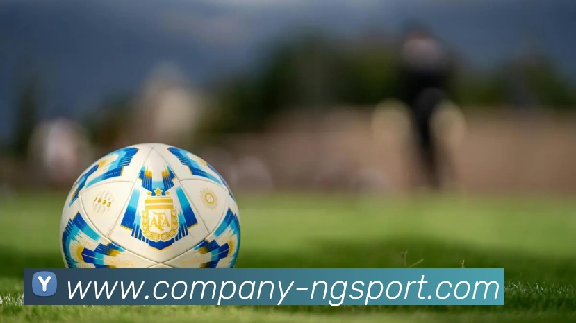 南宫体育APP 封面图